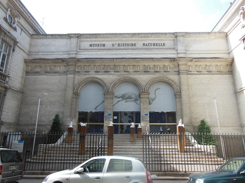 Muséum de Nantes