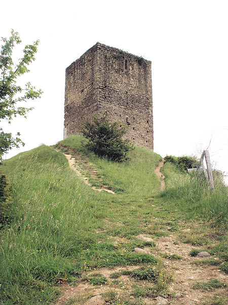 Château d'Albon