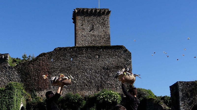 Château de Beaucens