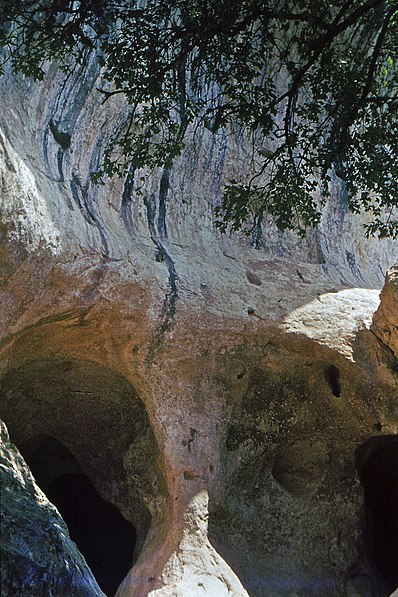 Grotte de Font-de-Gaume