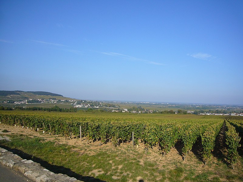 Puligny-Montrachet