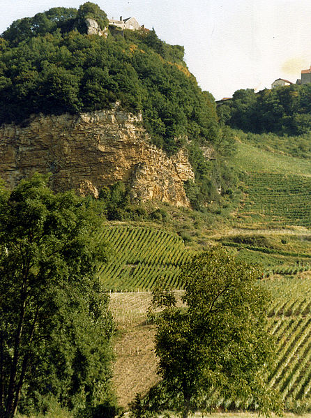 Jura wine