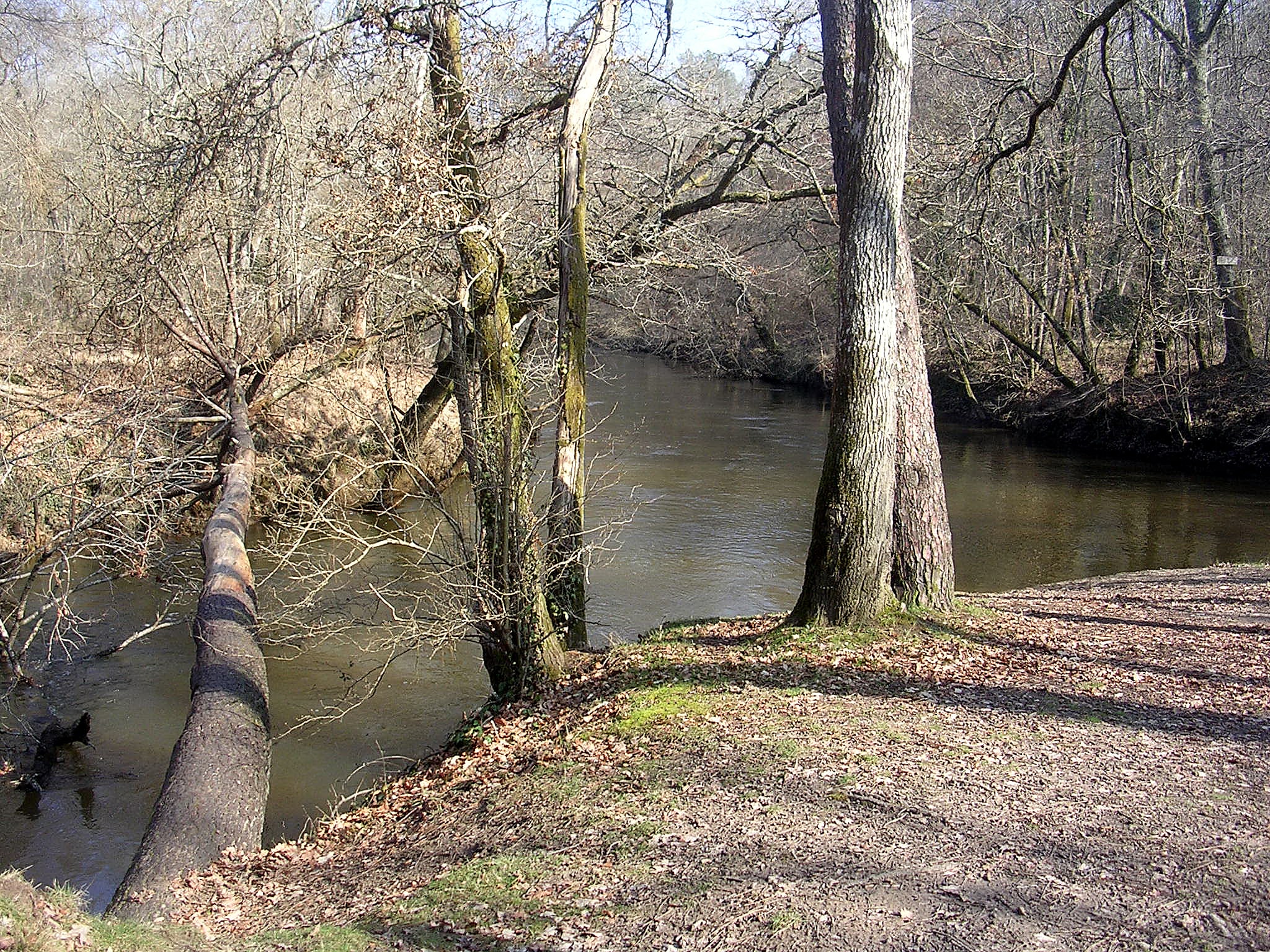 Moustey, Francja