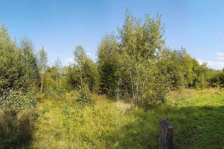 Carrière des Nerviens Regional Nature Reserve, France