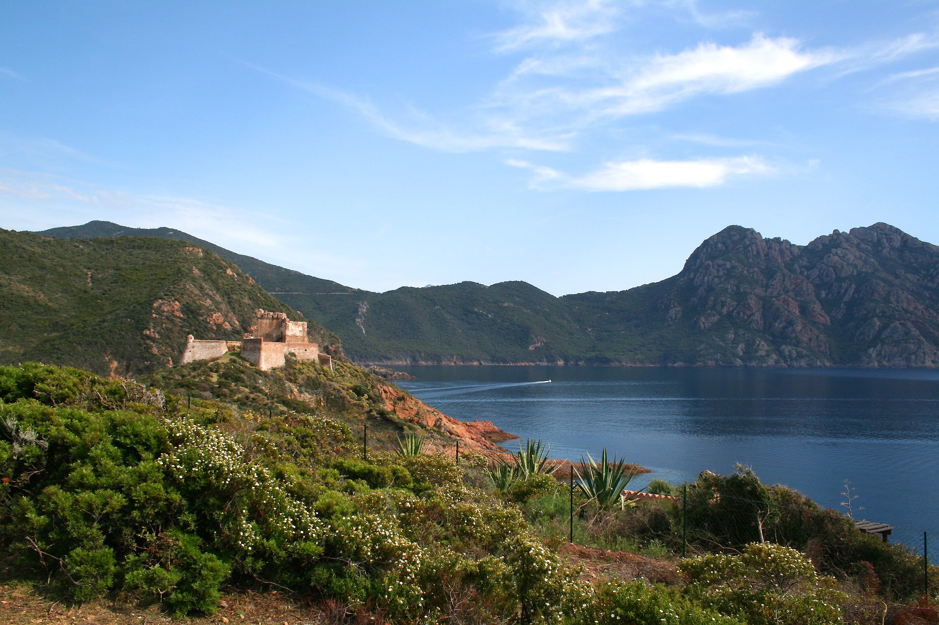 Osani, France