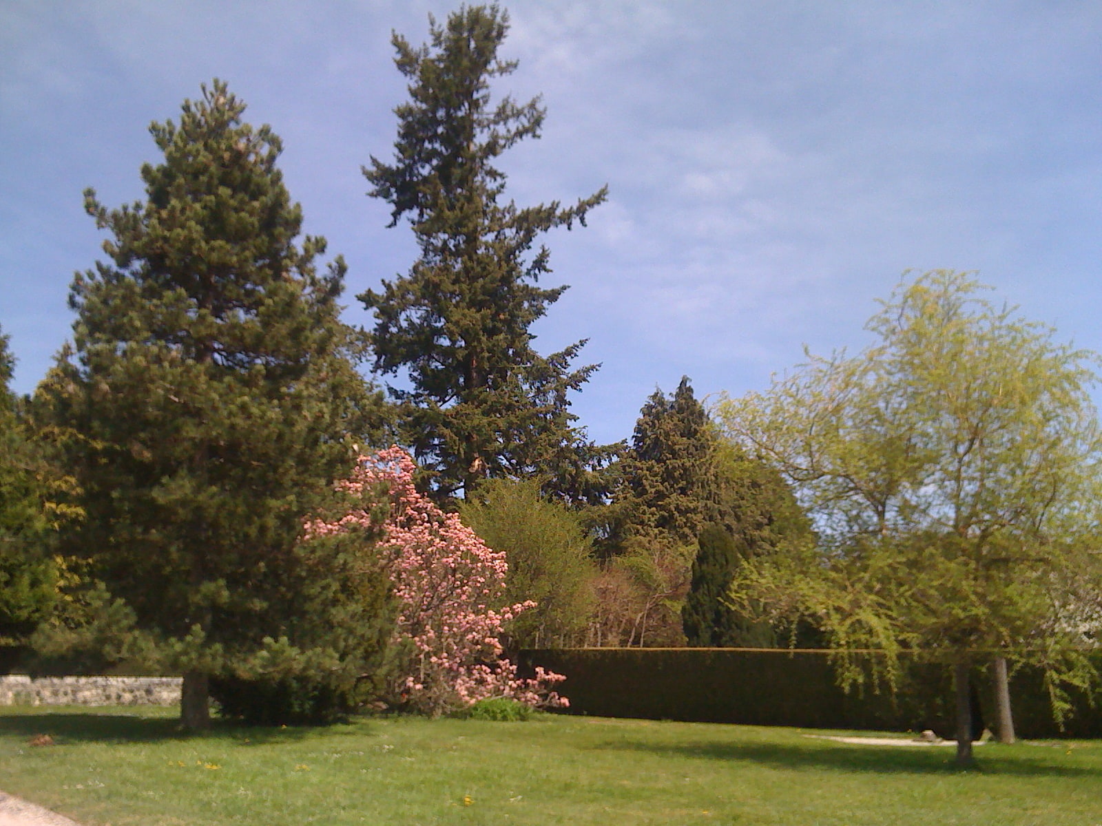 Arpajon-sur-Cère, Frankreich