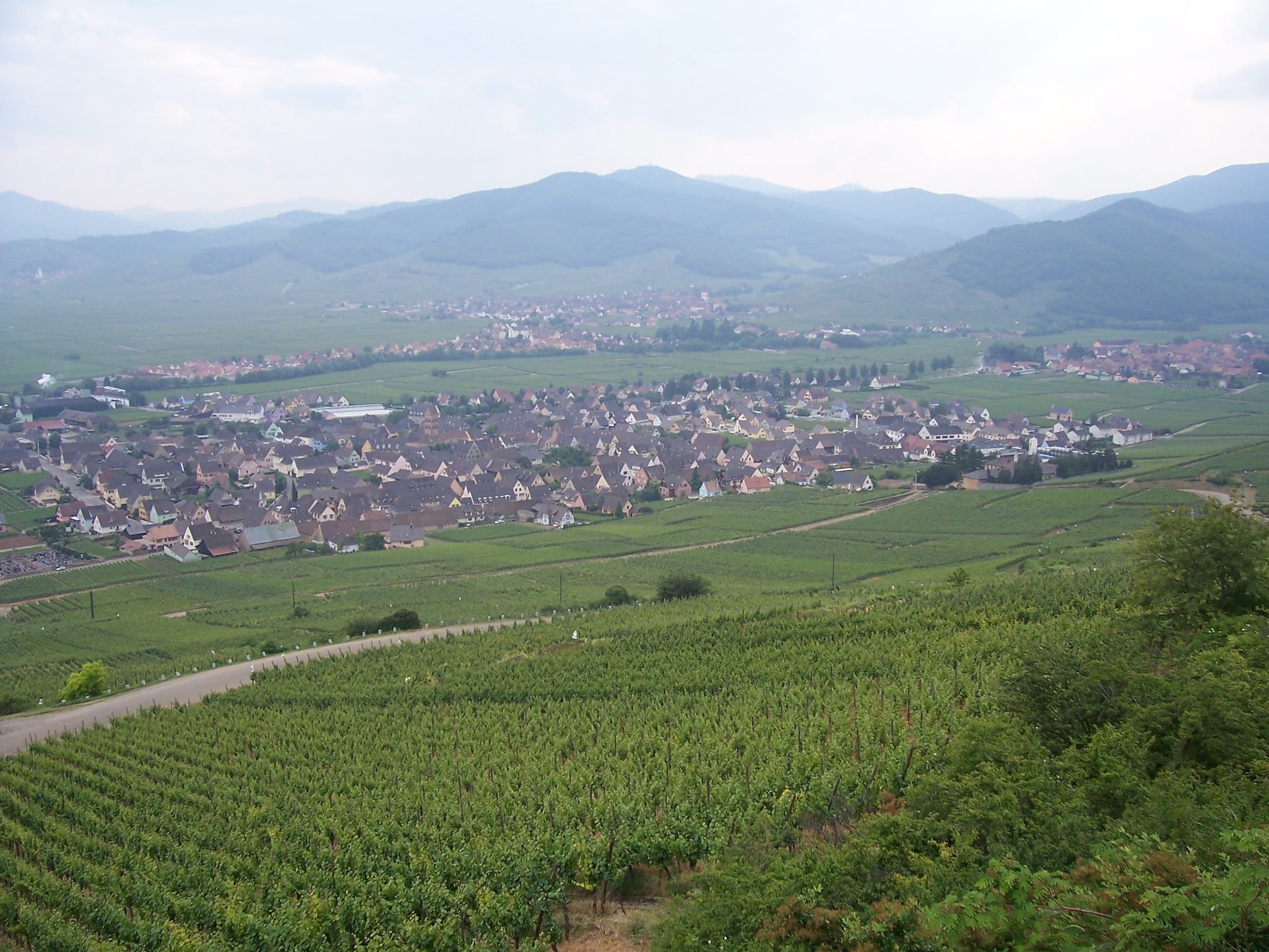 Sigolsheim, France