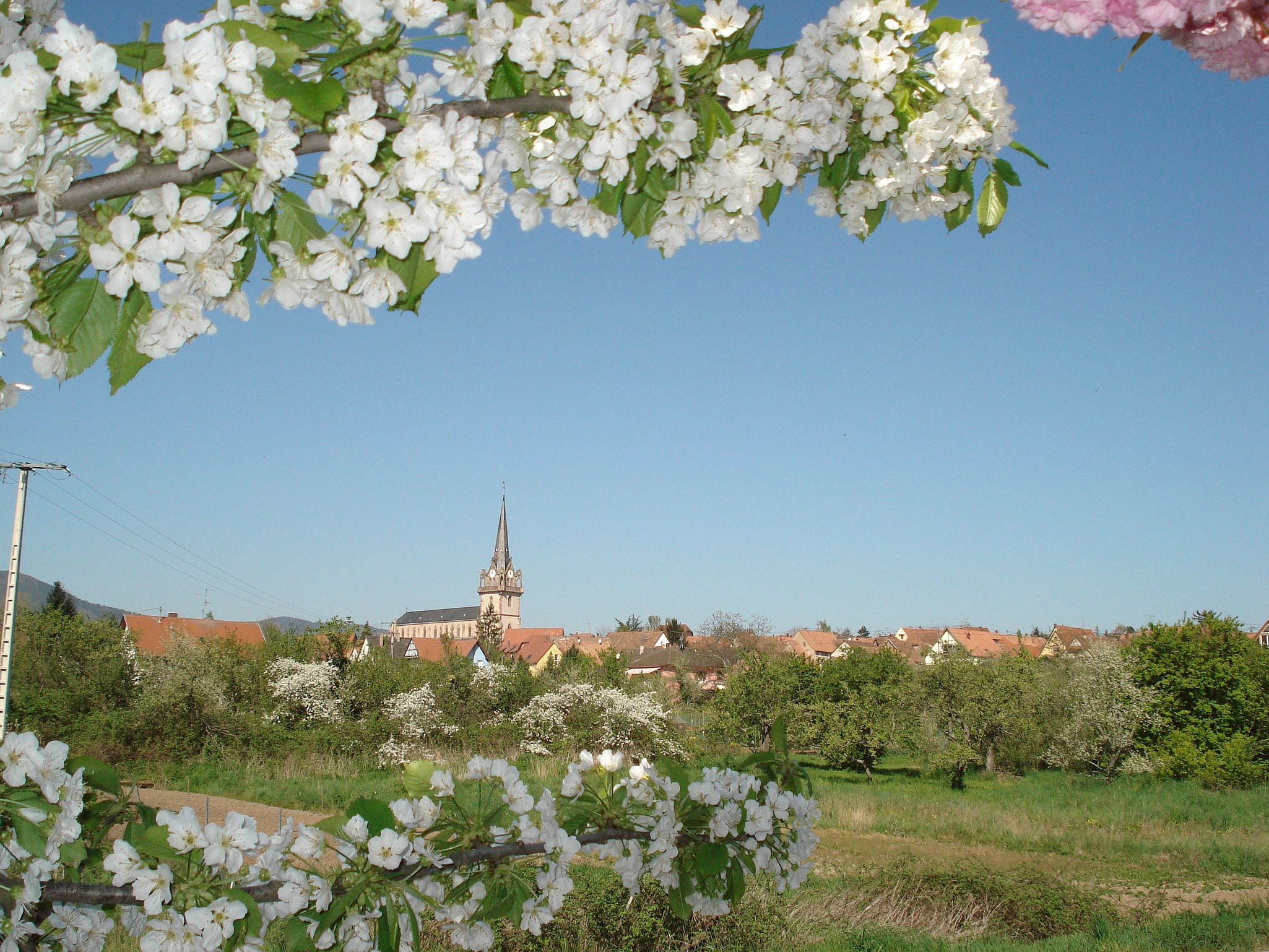 Bernardswiller, Francja