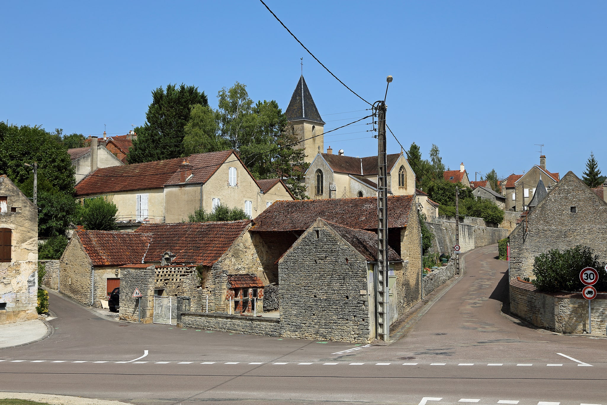 Buffon, Francia