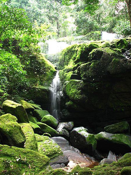 Parc national d'Ivindo