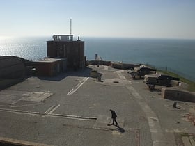 the needles battery wight
