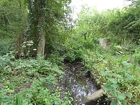 Mill Stream Nature Reserve