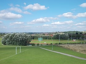 Herringthorpe Stadium