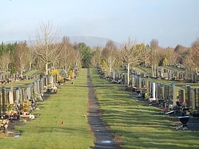 roselawn cemetery belfast