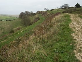 cissbury ring sussex downs aonb