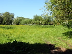 Wolvercote Meadows