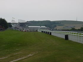 goodwood racecourse sussex downs aonb