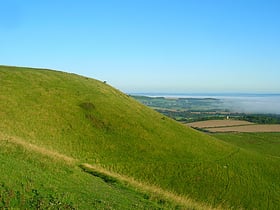 Firle Beacon