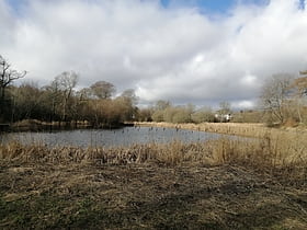 Trottick Mill Ponds