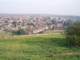 Whitehawk Hill