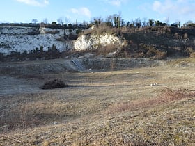 Limekiln Close and East Pit