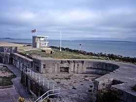 Browndown Battery