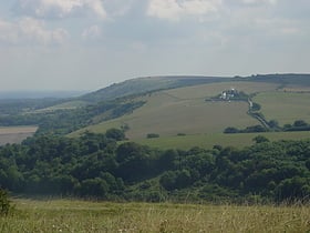 wolstonbury hill sussex downs aonb