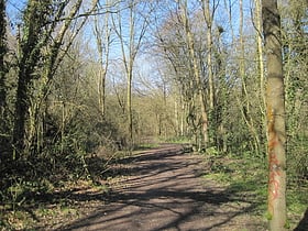 Crofton Wood