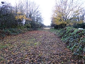 Goss Meadows