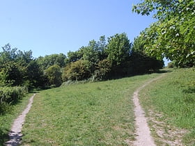 Bevendean Down