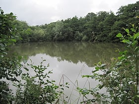 Rezerwat Przyrody Darland's Lake