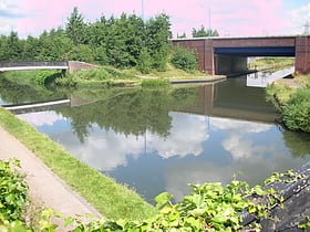 Tame Valley Junction