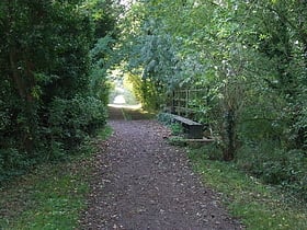 stour valley path newmarket