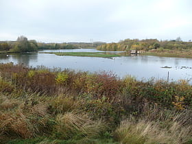 Forge Mill Lake