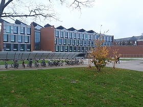 Universidad de Sussex