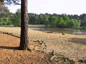 Horsell Common