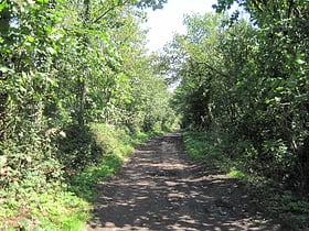 Burtonhole Lane and Pasture