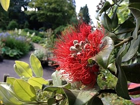 Jardín botánico de la Universidad de Bristol