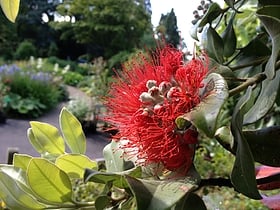 University of Bristol Botanic Garden