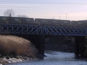 Avon Bridge