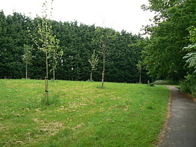 Daneshill Park Woods