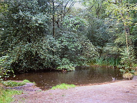 Rowhill Nature Reserve