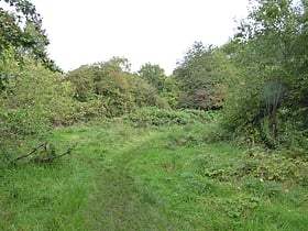 Humberstone Park LNR