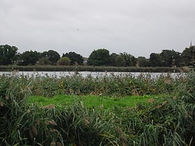 Woodberry Wetlands