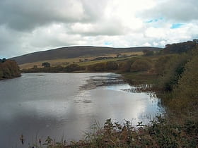 Threipmuir Reservoir