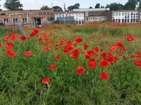 Ashworth Barracks