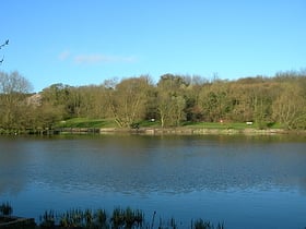 capstone farm country park gillingham