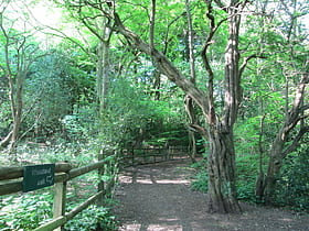 Bagnall Road Wood