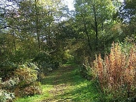 Uffmoor Wood