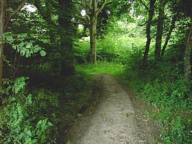 clapham wood sussex downs aonb